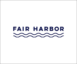 Logo 300x250