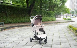PAWZIDEA 4-in-1 Pet Stroller Review: Detachable Carrier & Escape-Proof Canopy for Small Dogs and Cats
