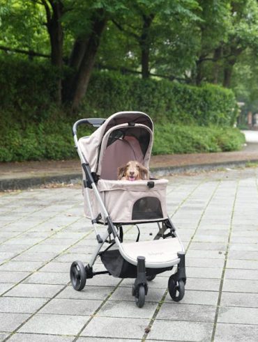 PAWZIDEA 4-in-1 Pet Stroller Review: Detachable Carrier & Escape-Proof Canopy for Small Dogs and Cats