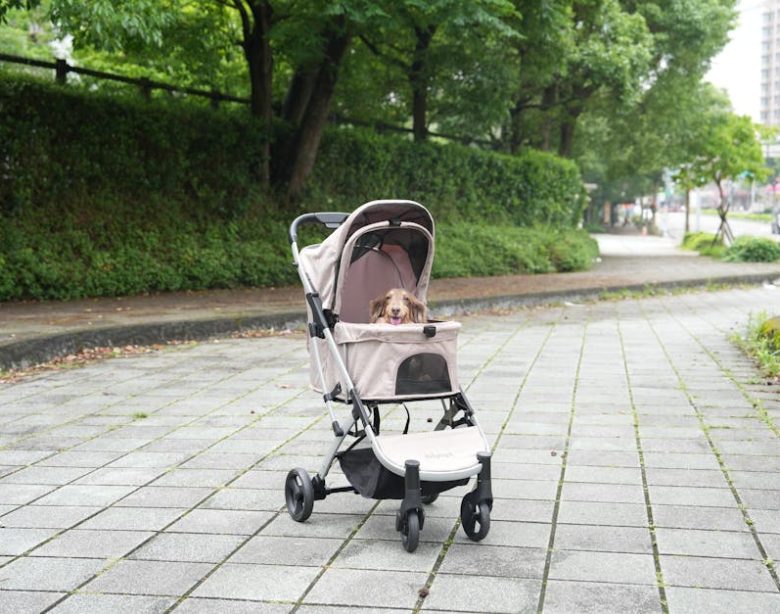 PAWZIDEA 4-in-1 Pet Stroller Review: Detachable Carrier & Escape-Proof Canopy for Small Dogs and Cats