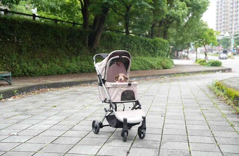PAWZIDEA 4-in-1 Pet Stroller Review: Detachable Carrier & Escape-Proof Canopy for Small Dogs and Cats